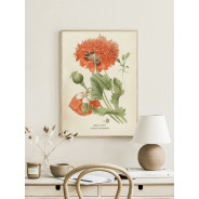 Постер "Opium poppy Art"