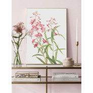 Постер "Epilobium angustifolium. Botanical flowers"
