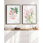 Комплект постеров в рамках "Botanical flowers"