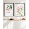 Комплект постеров в рамках "Botanical flowers"