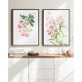 Комплект постеров в рамках "Botanical flowers"
