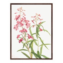 Комплект постеров в рамках "Botanical flowers"