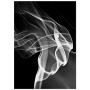 Постер "Art Smoke"