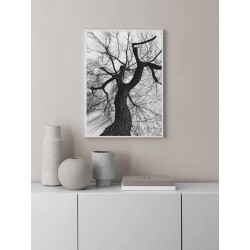 Постер "Tree silhouette"