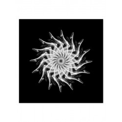 Комплект постеров "Power"