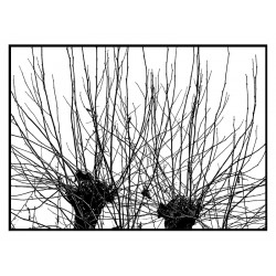 Комплект постерів в рамках "Power"