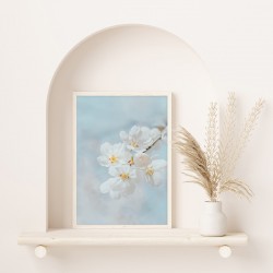 Постер "Вишневий цвіт"