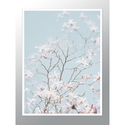 Постер "Вишневый цвет"