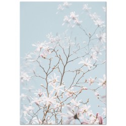 Постер "Вишневый цвет"