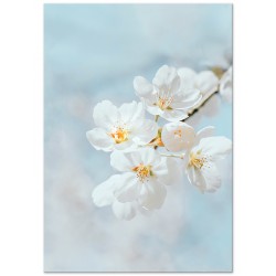 Комплект постерів "Columbia blue"