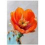 Постер "Opuntia aciculata"