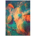 Постер "Seashell"
