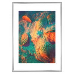 Комплект постерів в рамках "Old Citadel"