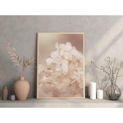 Постер "Гортензия пастельная"