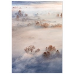 Комплект постерів "Magical"