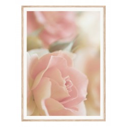 Комплект постерів в рамках "Magical"