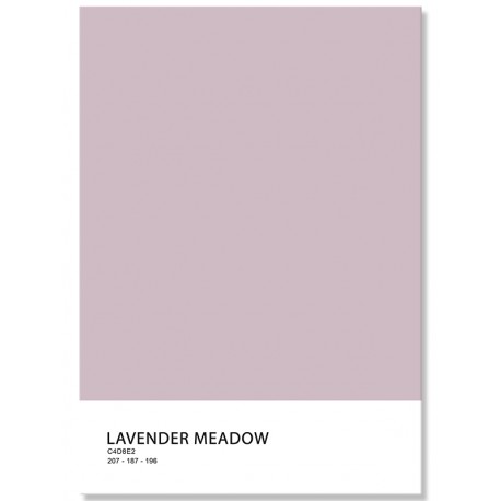 Постер "Lavender meadow. Pantone"