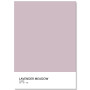 Постер "Lavender meadow. Pantone"