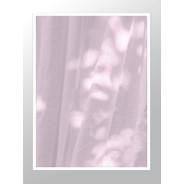 Постер "Lavender curtain"