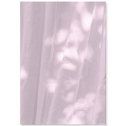 Постер "Lavender curtain"