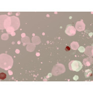 Постер "Rose confetti ombre"