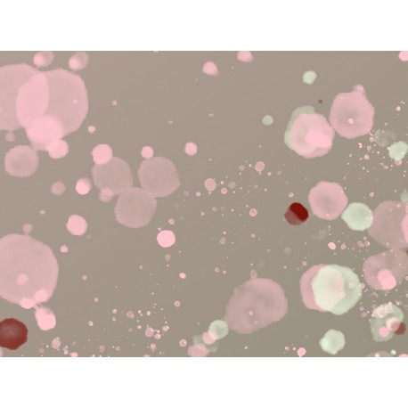 Постер "Rose confetti ombre"
