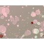 Постер "Rose confetti ombre"