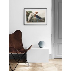 Постер "Фиолетовая цапля. Джон Джеймс Одюбон. 1835"