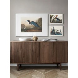 Постер "Синий журавль или цапля. Джон Джеймс Одюбон. 1836"