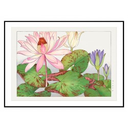 Постер "Египетская голубая кувшинка. Конан Танигами.1917"