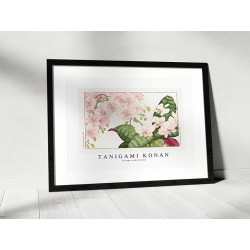 Постер "Винтажная орхидея. Конан Танигами. 1917"