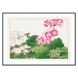 Постер "Примула. Конан Танигами. 1917"