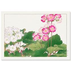 Постер "Примула. Конан Танигами. 1917"