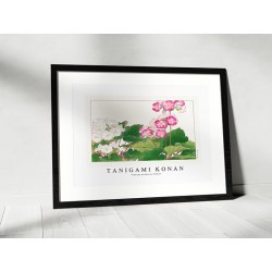 Постер "Примула. Конан Танигами. 1917"