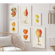Постер "Vintage Apple. Botanical illustration"