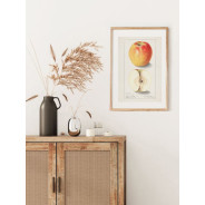 Постер "Vintage Apple. Botanical illustration"