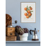 Постер "Vintage Orange. Botanical illustration"