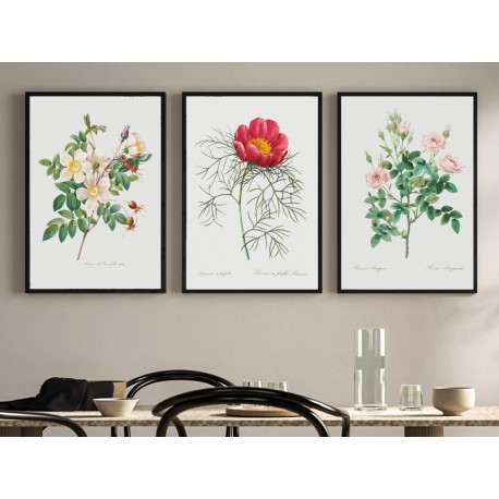 Постер "Botanical flowers"