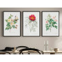 Постер "Botanical flowers"