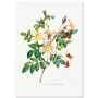 Постер "Botanical flowers"