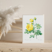 Постер "Botanical flowers"