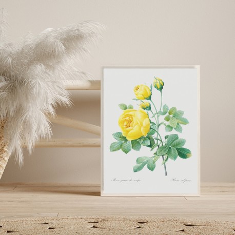 Постер "Botanical flowers"