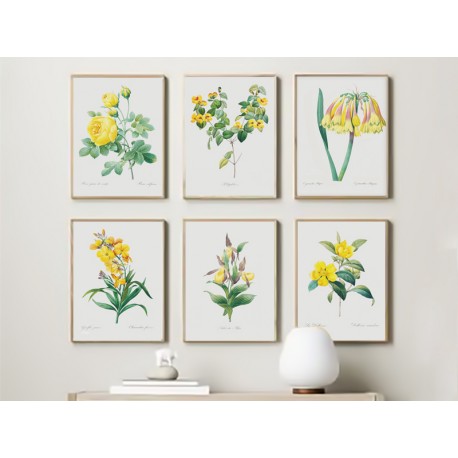 Постер "Botanical flowers"
