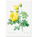 Постер "Botanical flowers"