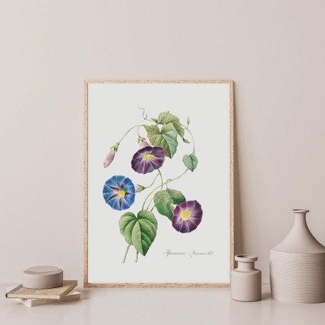 Постер "Botanical flowers"