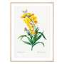 Постер "Botanical flowers"