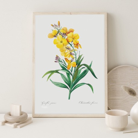 Постер "Botanical flowers"