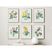 Постер "Botanical flowers"