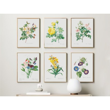 Постер "Botanical flowers"