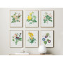 Постер "Botanical flowers"